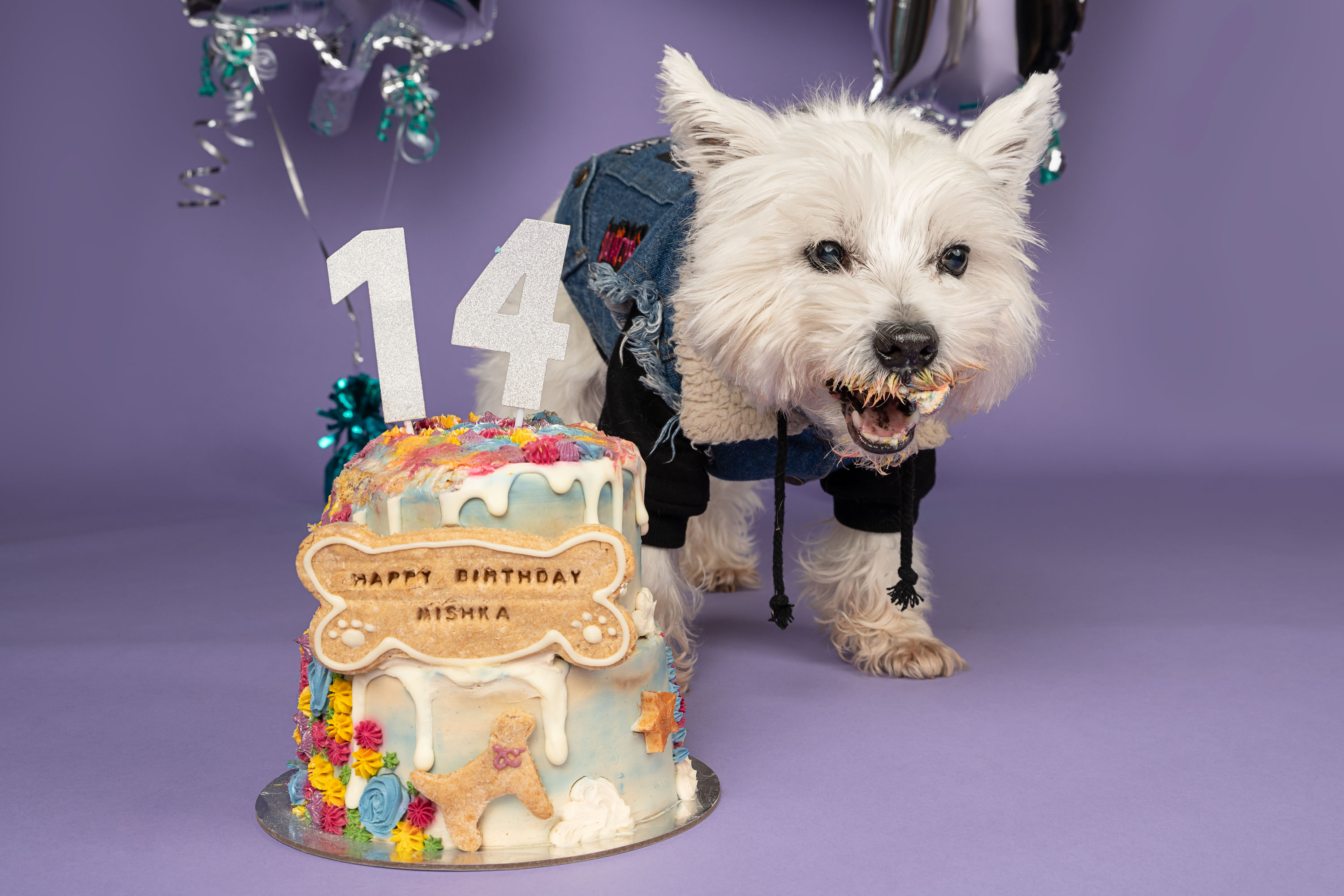 Island Paw Prints Photography West Highland Terrier Birthday Cake 4